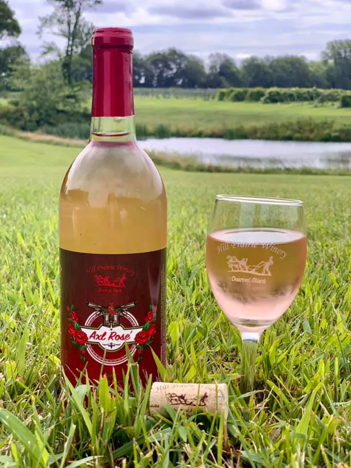 A bottle of wine and glass on the grass.